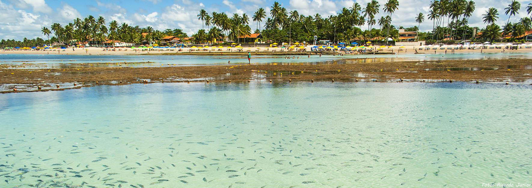 GALERIA DE FOTOS DE PORTO DE GALINHAS